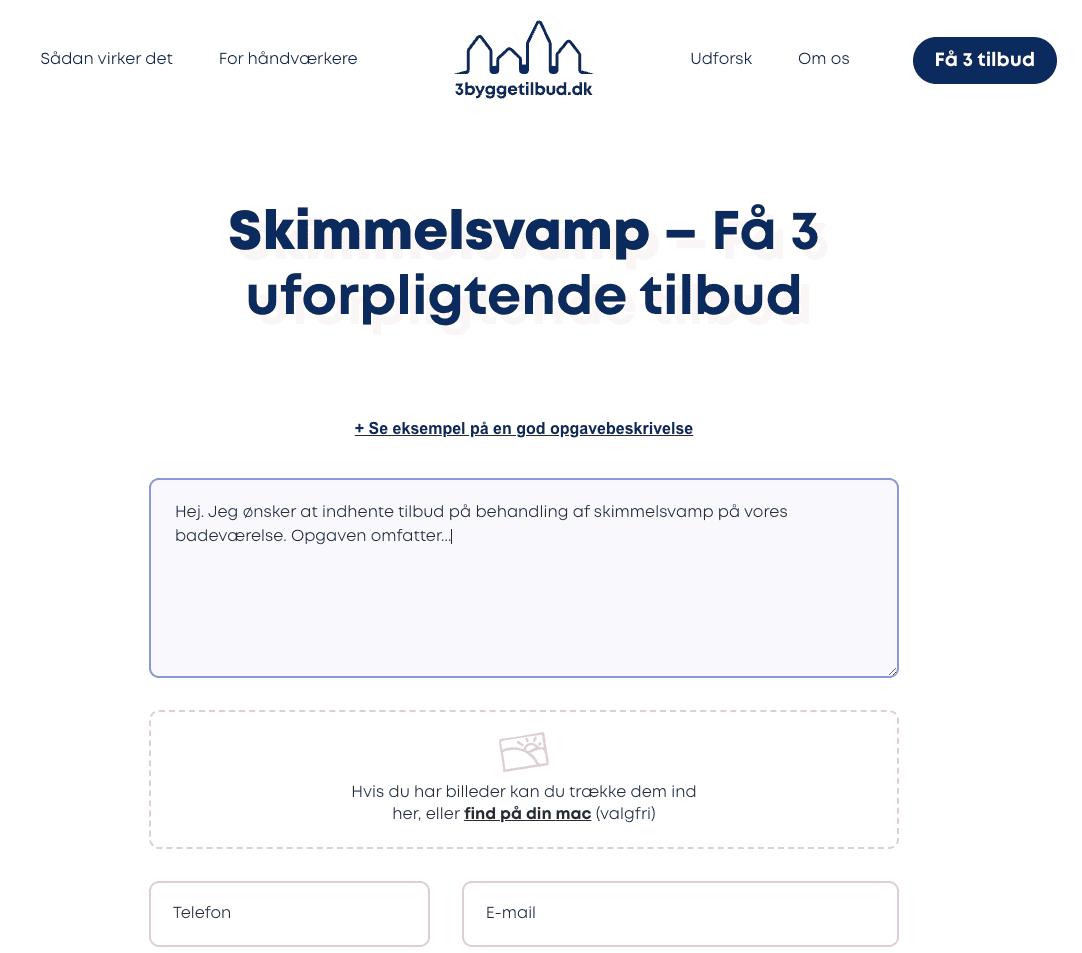 Professionel fjernelse af skimmelsvamp på badeværelset