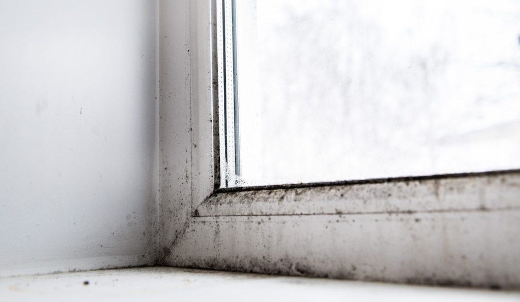 Skimmelsvamp test på badeværelset