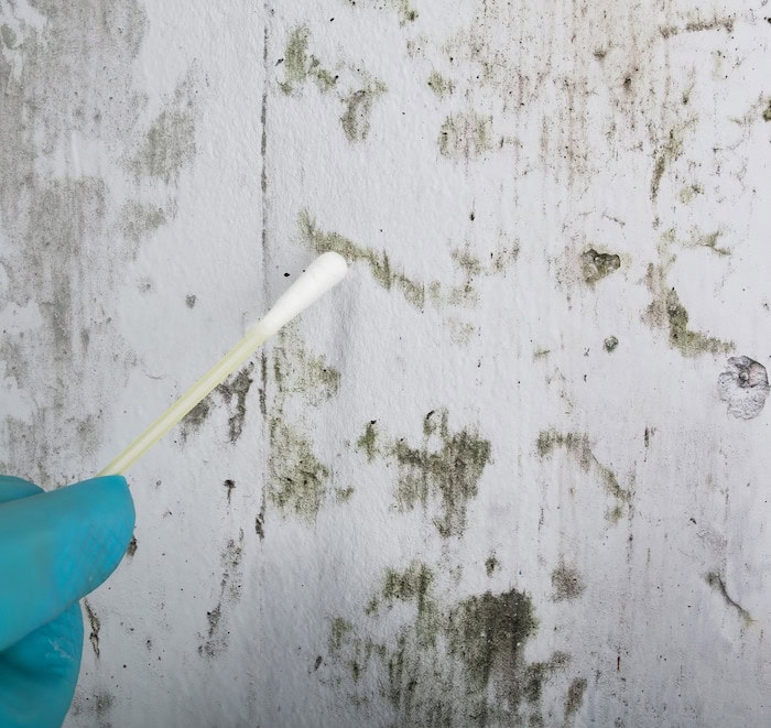 Skimmel test på badeværelset