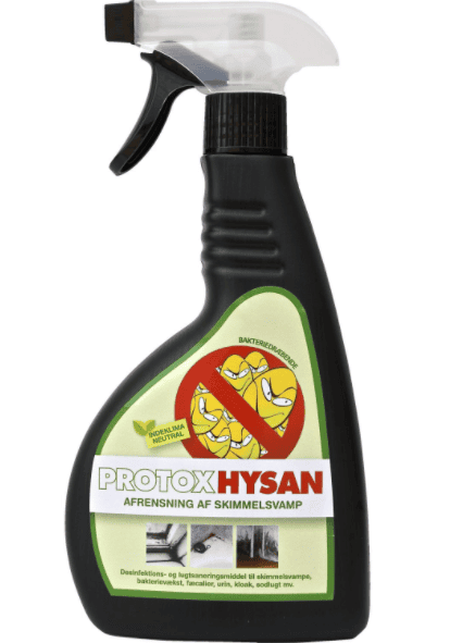 Professionel fjernelse af skimmelsvamp